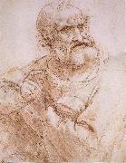 LEONARDO da Vinci Study of an apostle oil painting artist